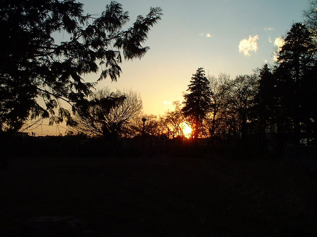 写真12